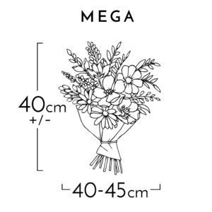 MEGA